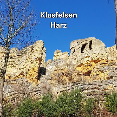 Ferienwohnung Lion Oschersleben Zewnętrze zdjęcie